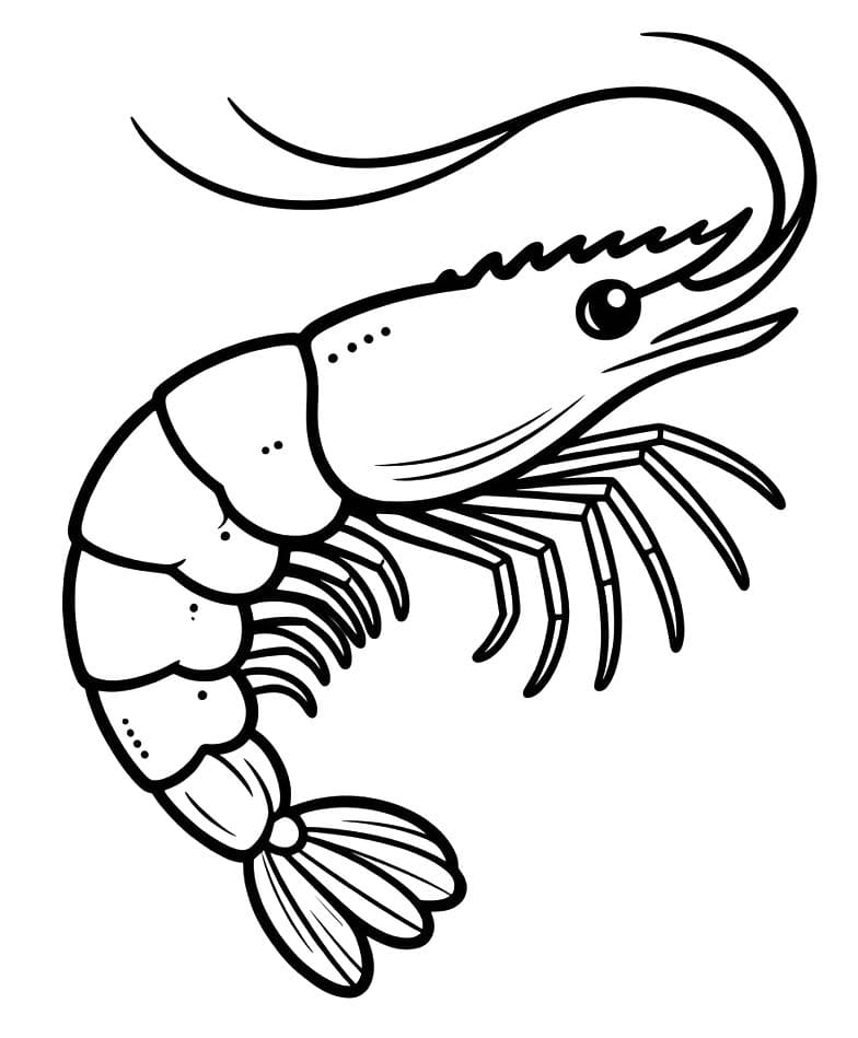 새우 인쇄 가능