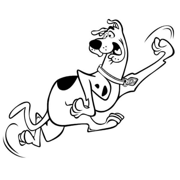 스쿠비 두 그림