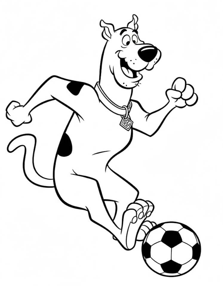 스쿠비 두 이미지 베이식