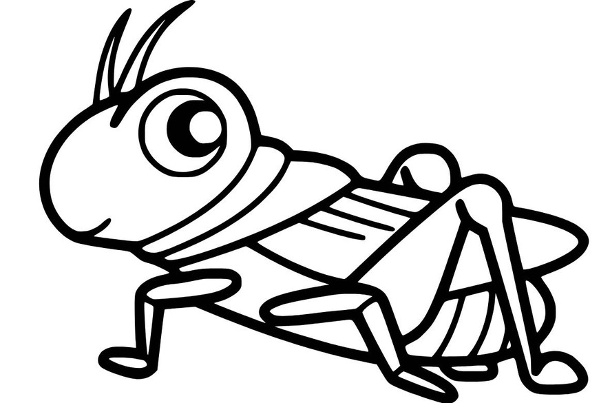 쉬운 그리다 메뚜기