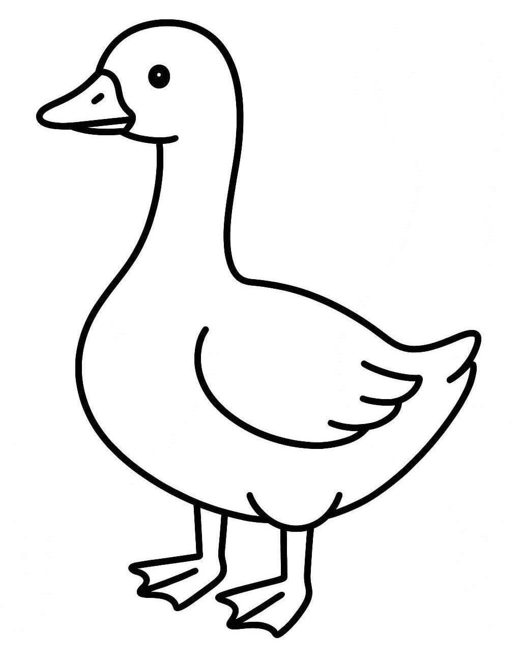 베이식 그리다 거위