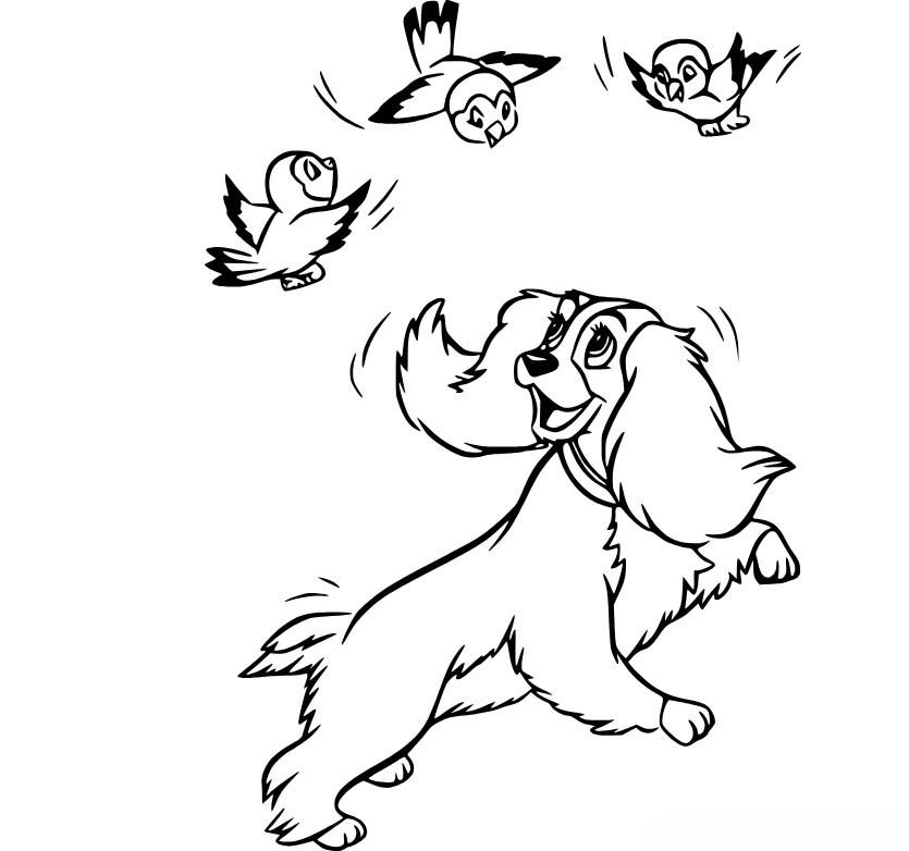 베이식 레이디와 트램프 그리다