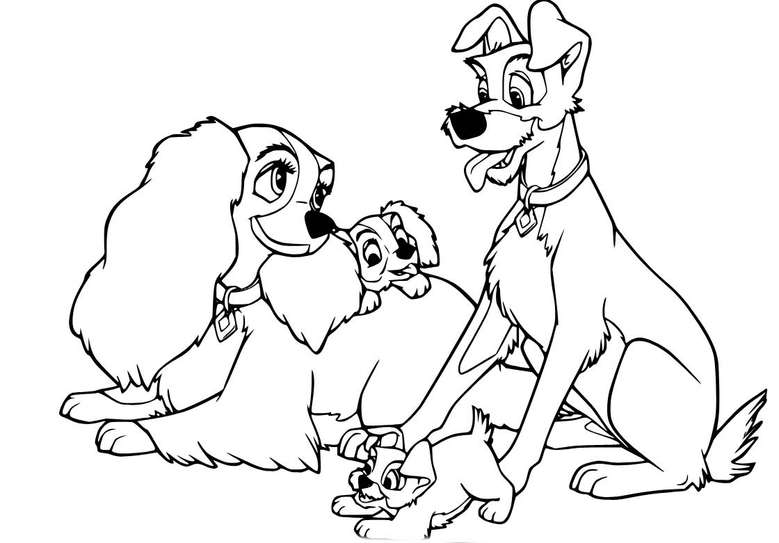 베이식 레이디와 트램프