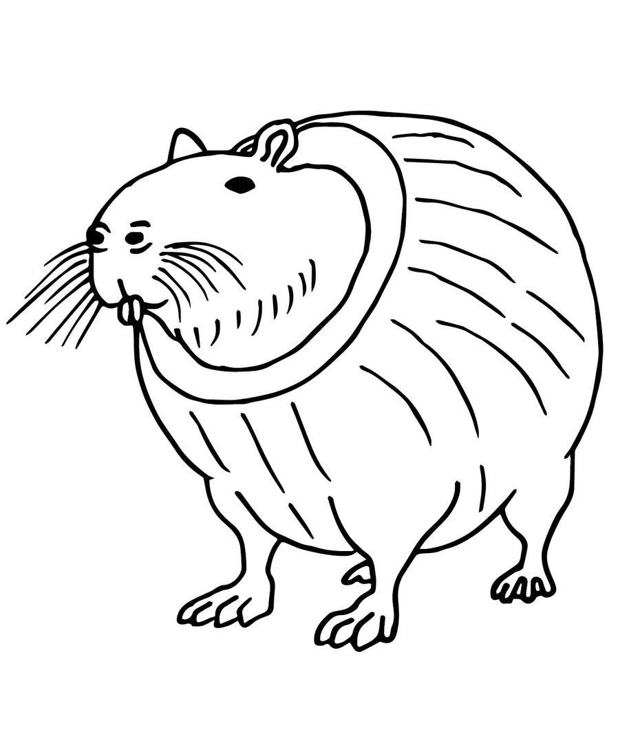 브레인롯 이미지 무료