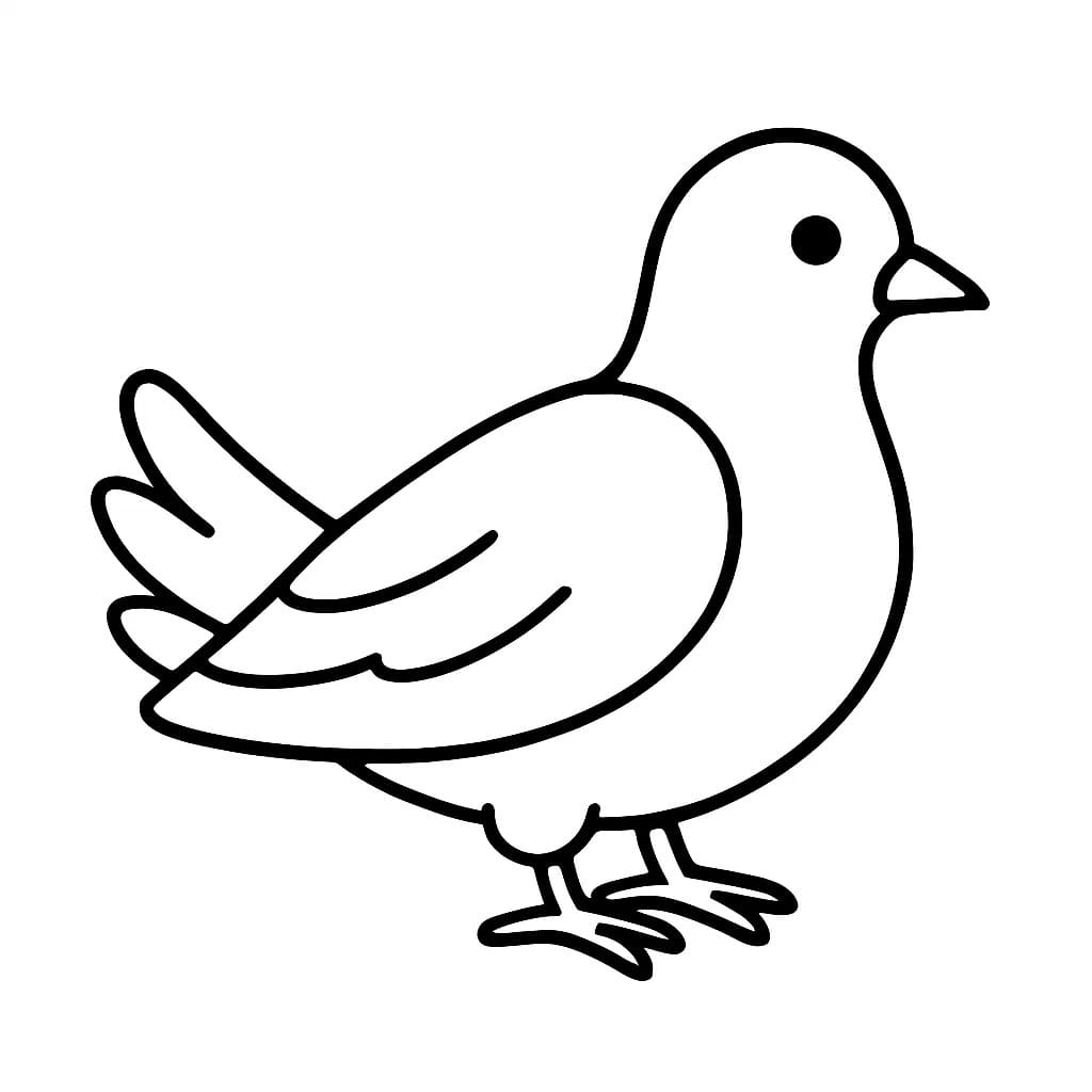 비둘기 이미지 단순한