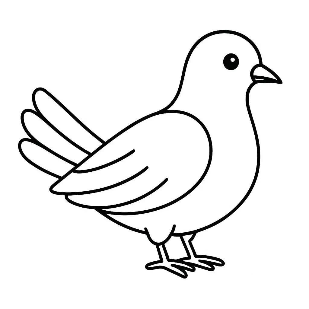 비둘기 이미지 인쇄