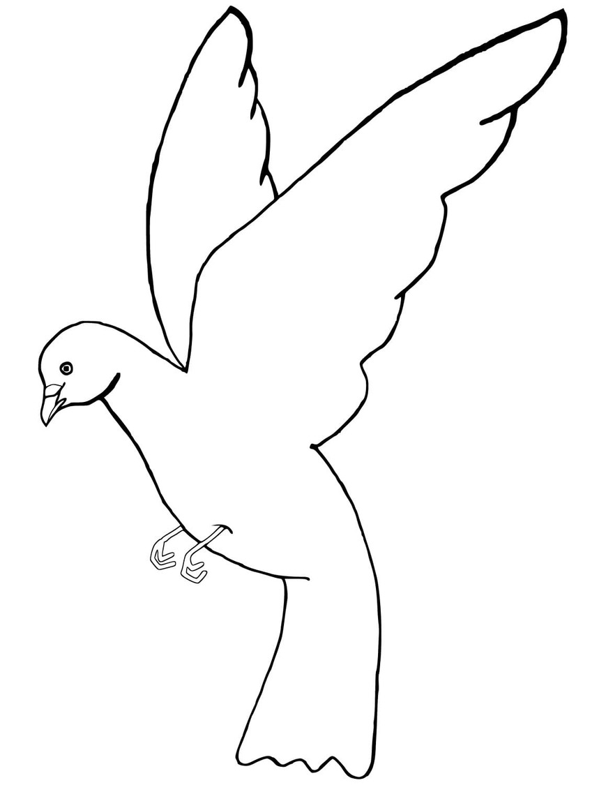 비둘기 인쇄 가능