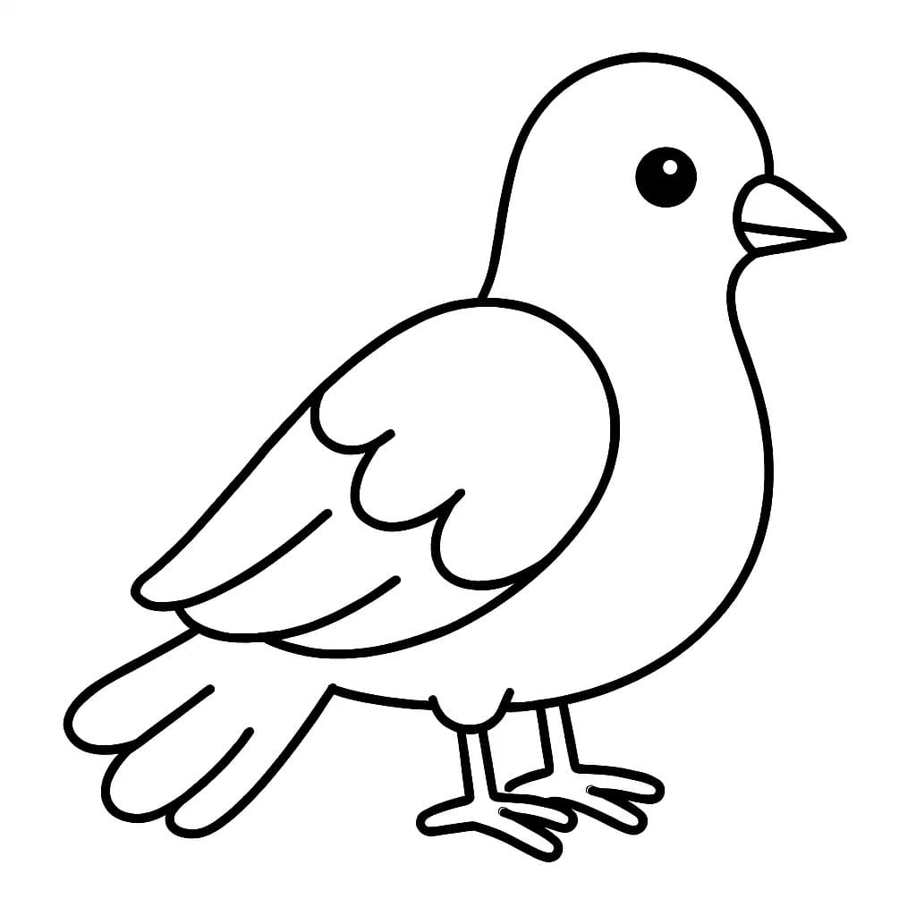 단순한 그리다 비둘기