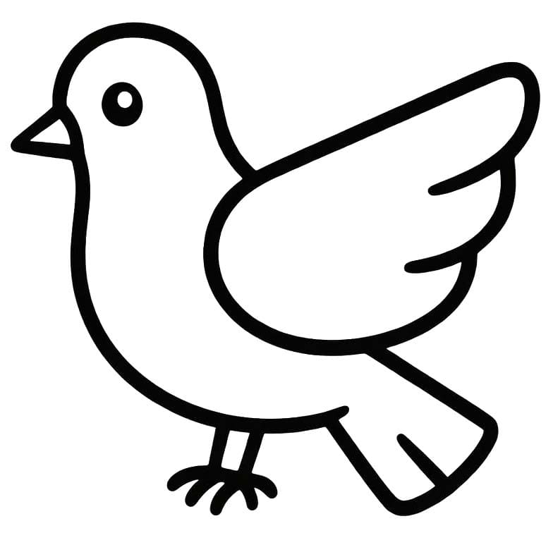 그림 비둘기 인쇄