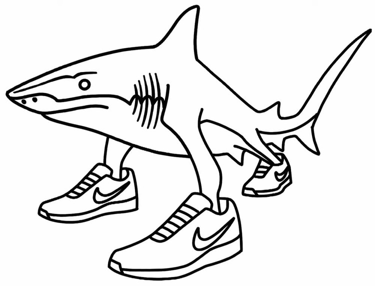 이미지 브레인롯