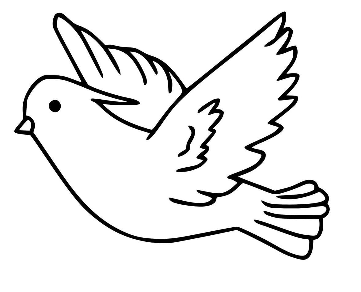 인쇄 가능 비둘기