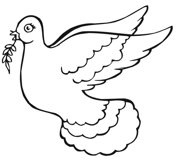 인쇄 그리다 비둘기