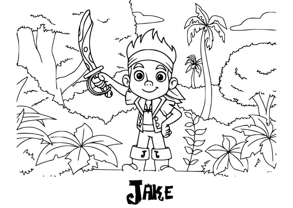 제이크와 네버랜드 해적들 베이식