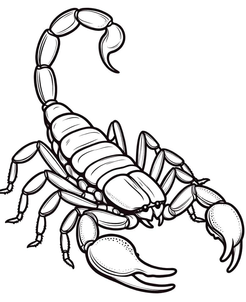 전갈 이미지 무료로 인쇄 가능