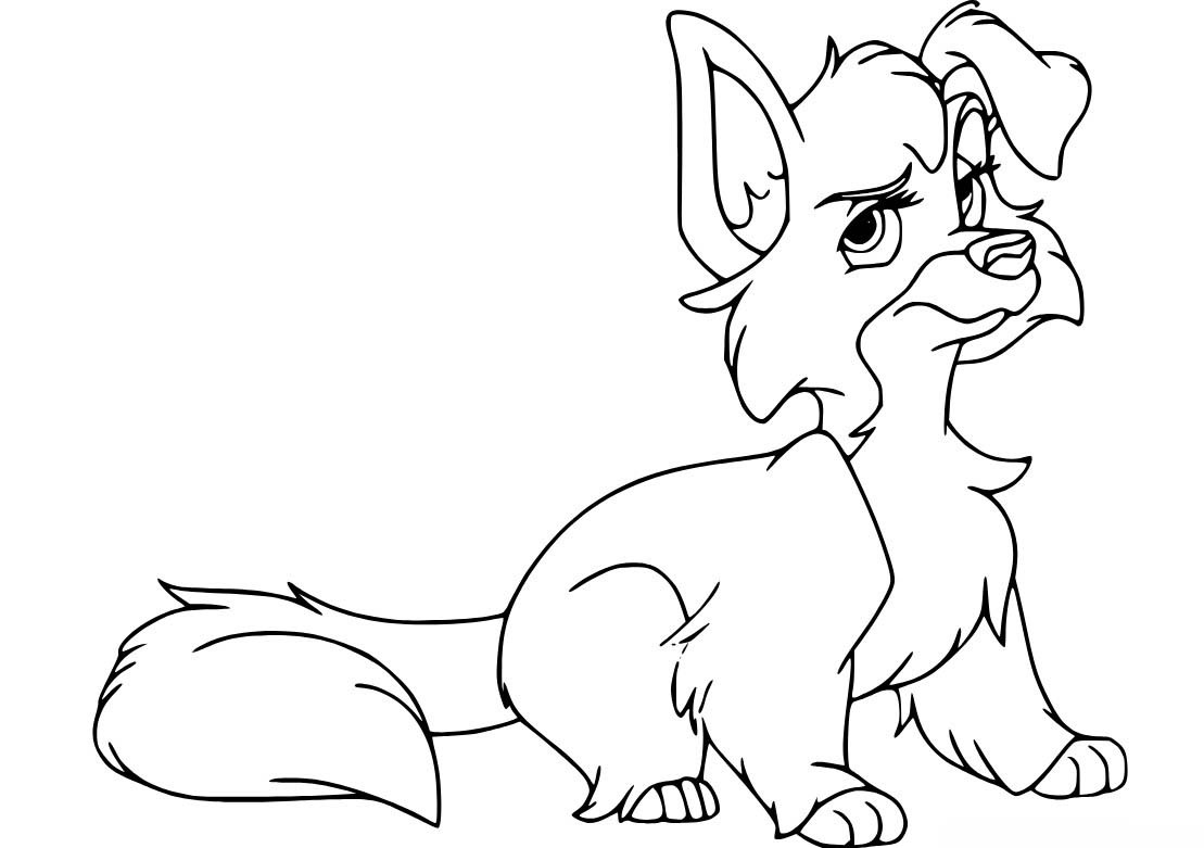 레이디와 트램프 베이식