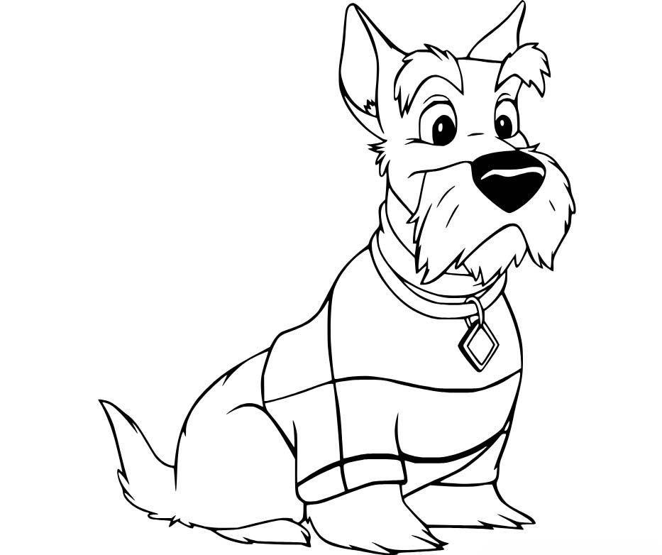 레이디와 트램프 이미지 베이식