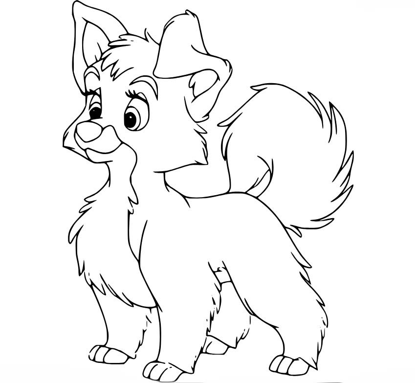 레이디와 트램프 쉬운