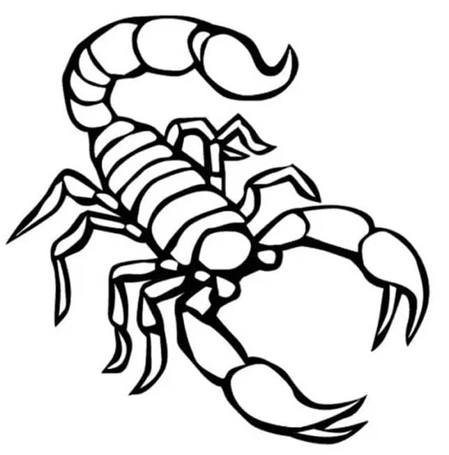 무료 그리다 전갈