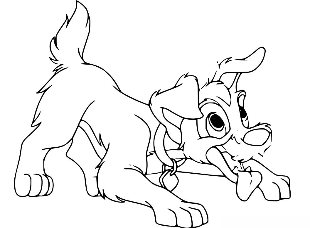 무료 레이디와 트램프