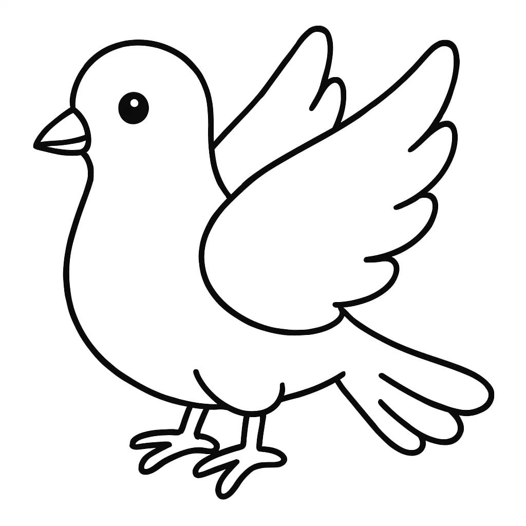 비둘기 색칠하기놀이