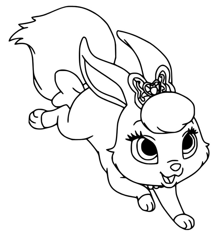 팰리스 펫 그림