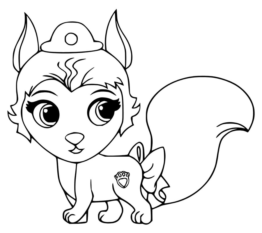 팰리스 펫 이미지 단순한