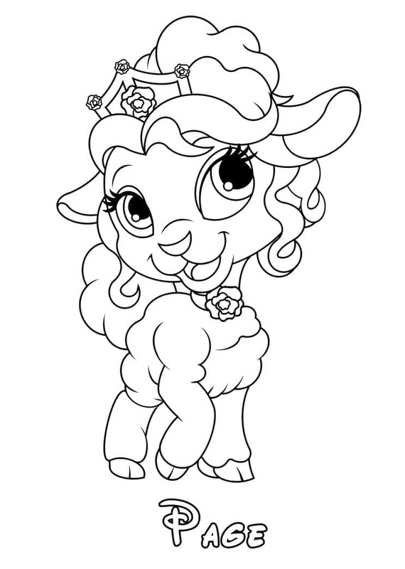 팰리스 펫 이미지 인쇄 가능