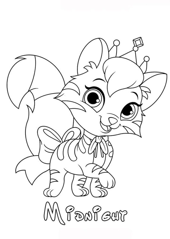 팰리스 펫 이미지 무료로