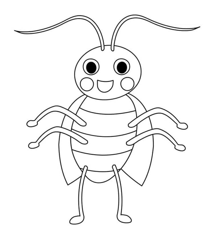 바퀴벌레 이미지 무료로