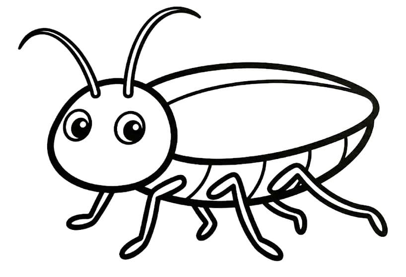 바퀴벌레 무료로