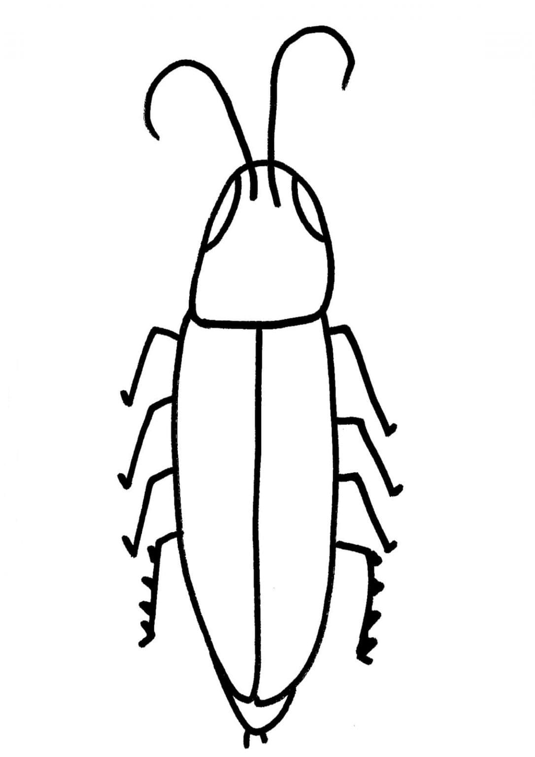 베이식 그리다 바퀴벌레