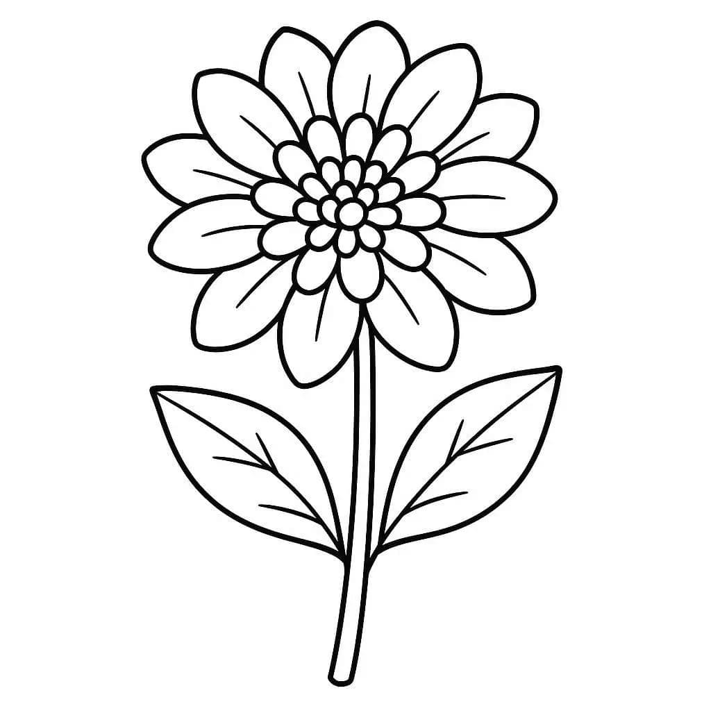 베이식 달리아