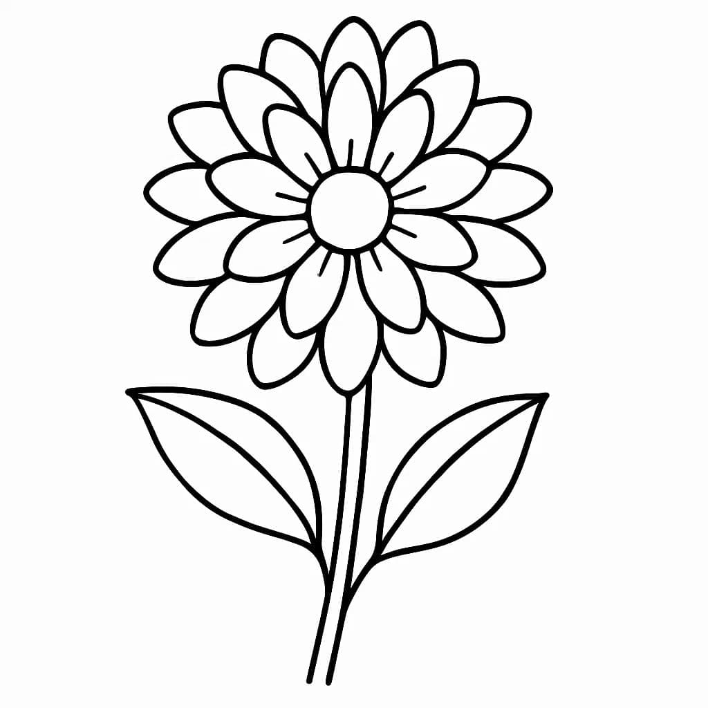 달리아 베이식