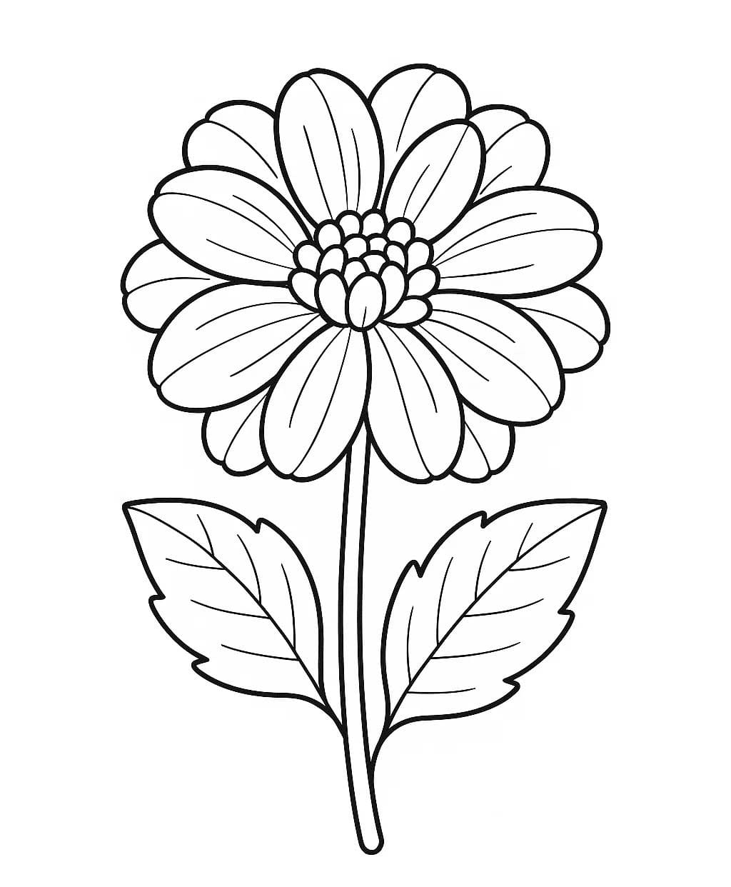 달리아 단순한