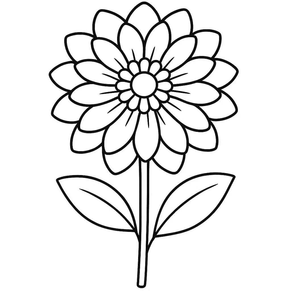 달리아 이미지 무료