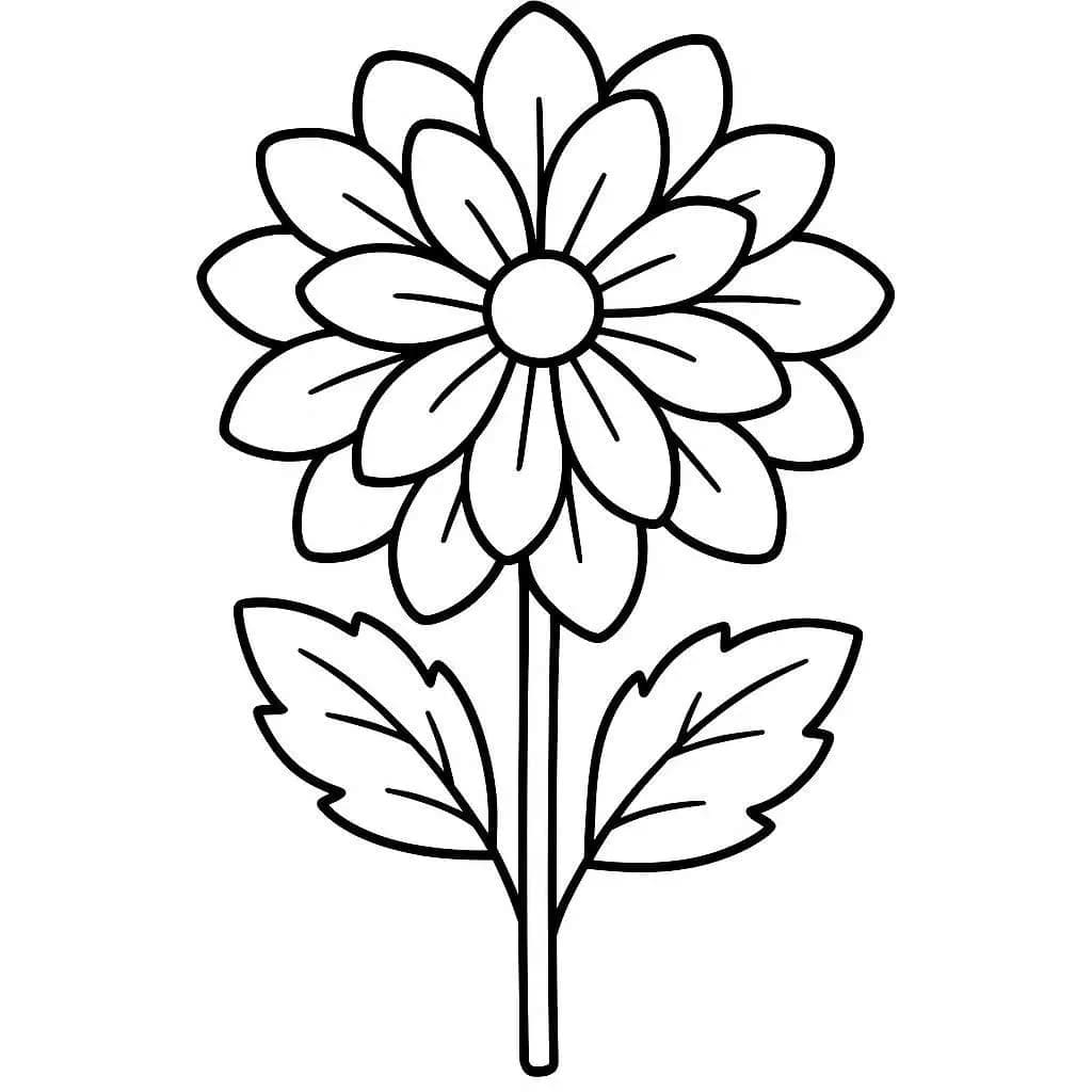 달리아 이미지 쉬운