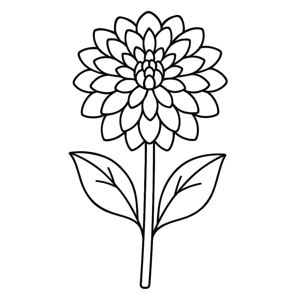 달리아 무료