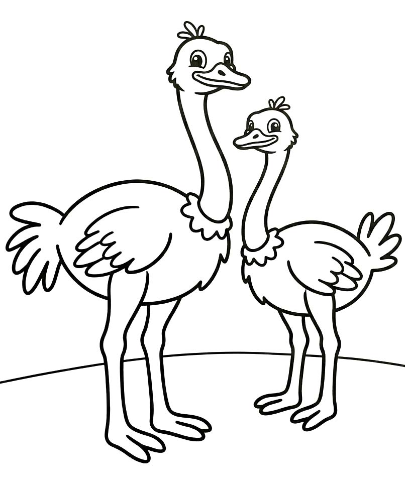 그림 타조 인쇄 가능
