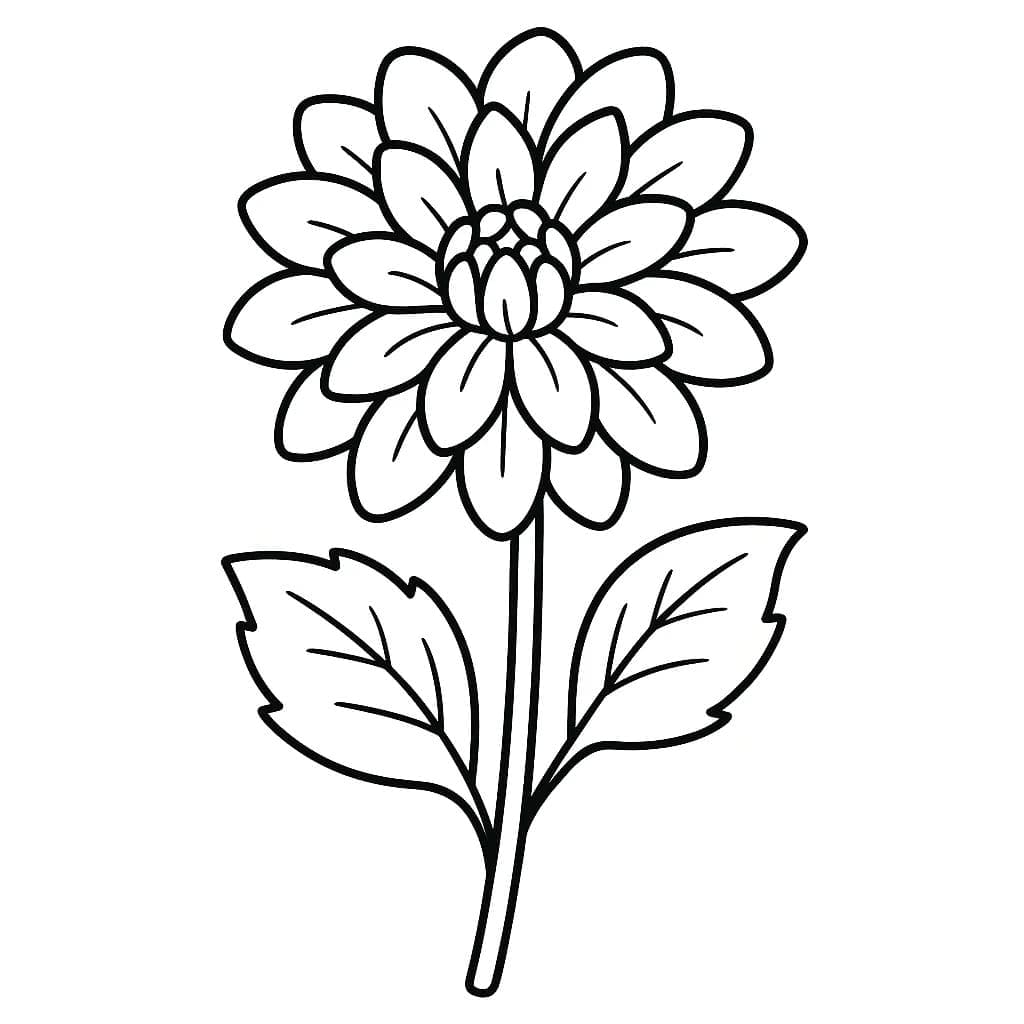 인쇄 달리아