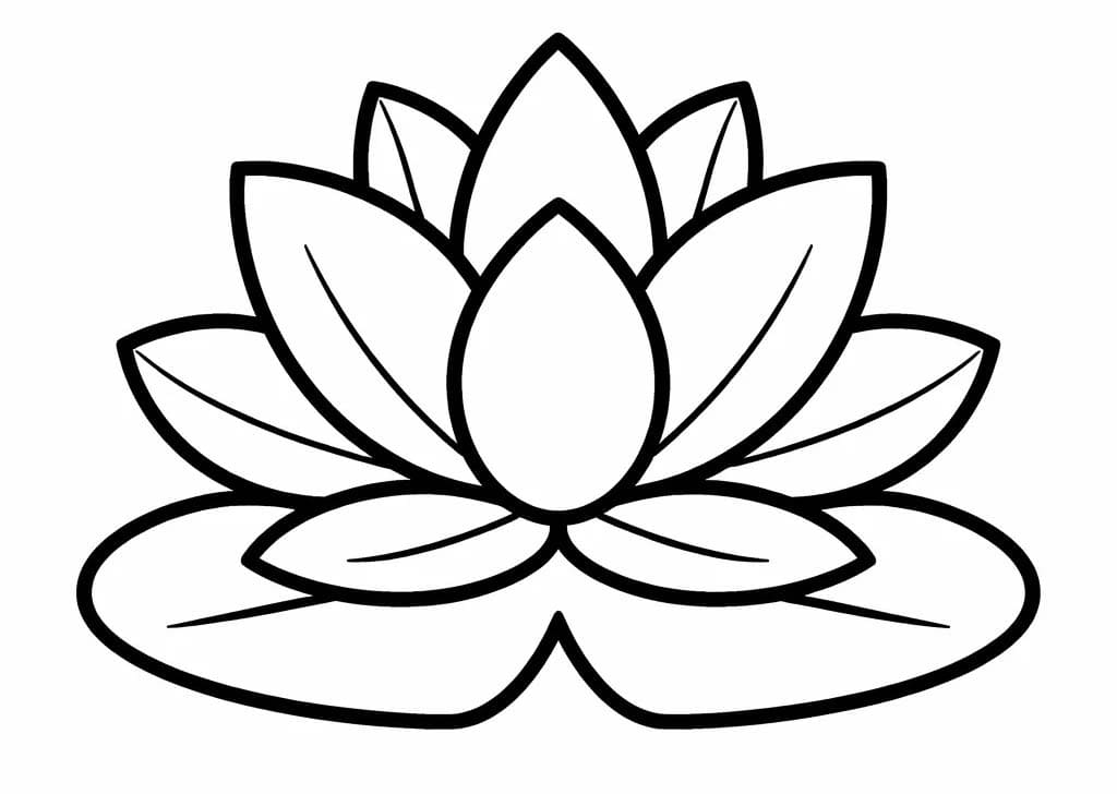 로터스 그리다