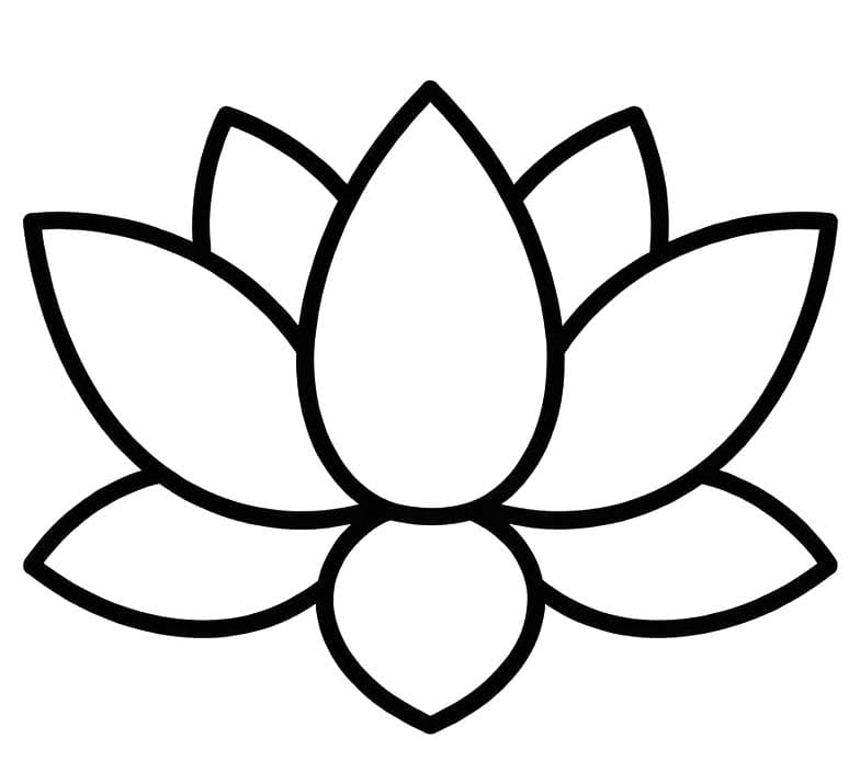 로터스 이미지 베이식