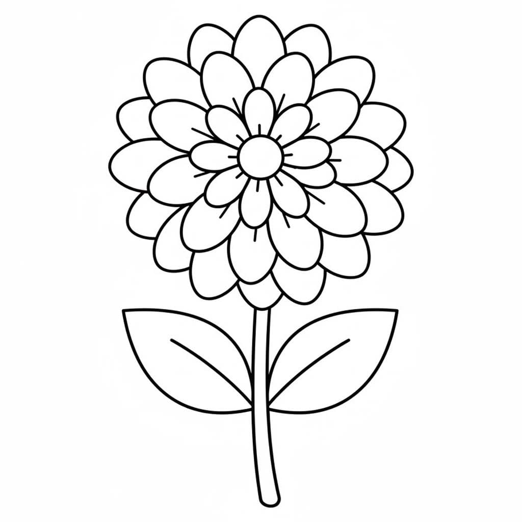 쉬운 달리아