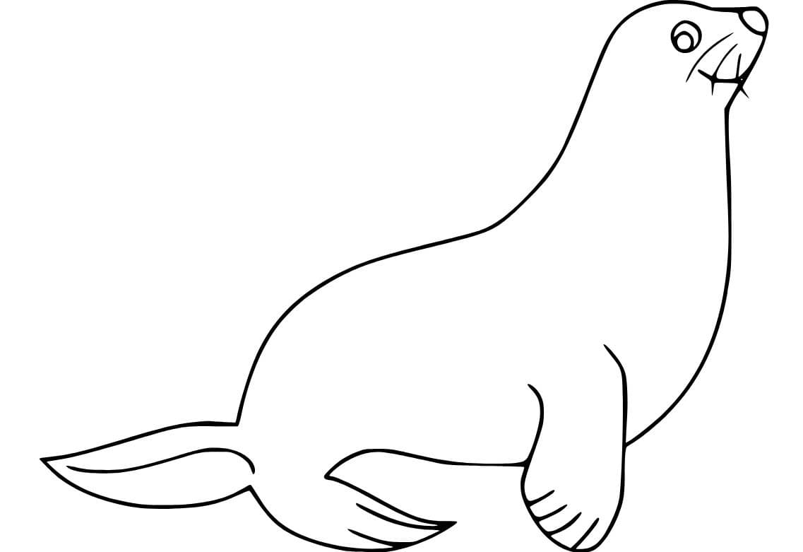 바다사자 쉬운