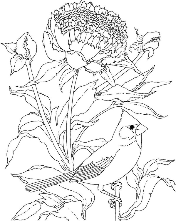 그림 추기경