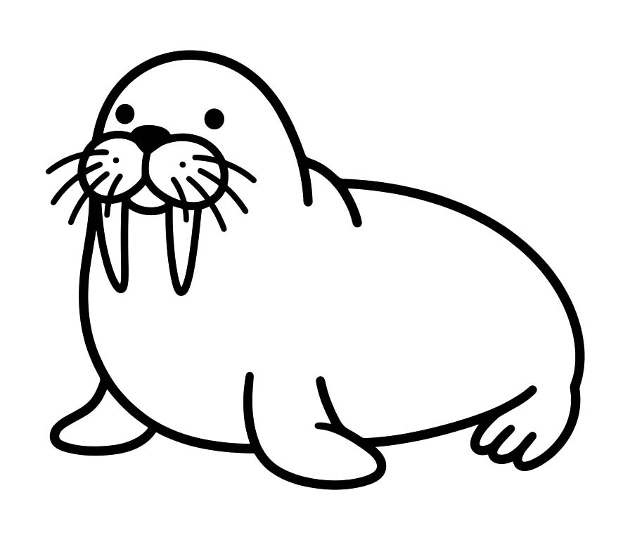바다코끼리 그리다