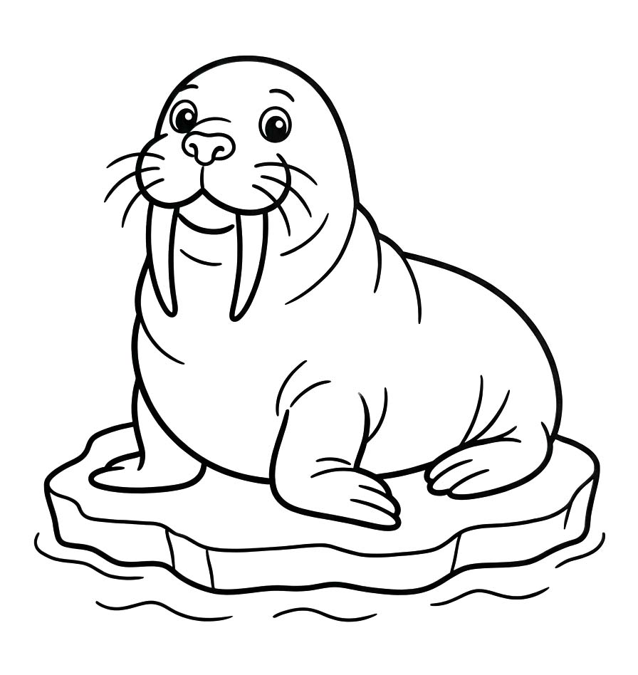바다코끼리 쉬운