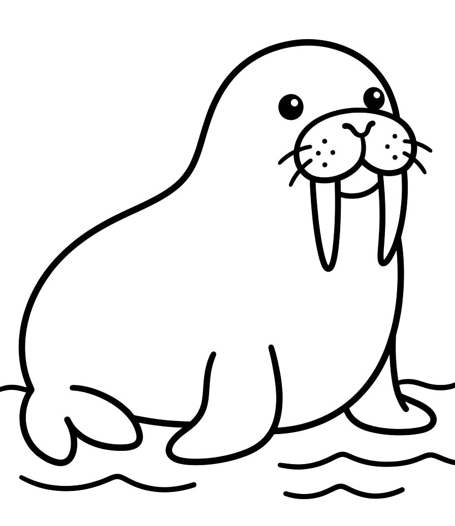 바다코끼리 색칠하기놀이