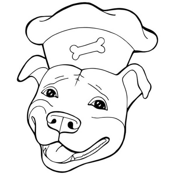 그림 핏불 무료