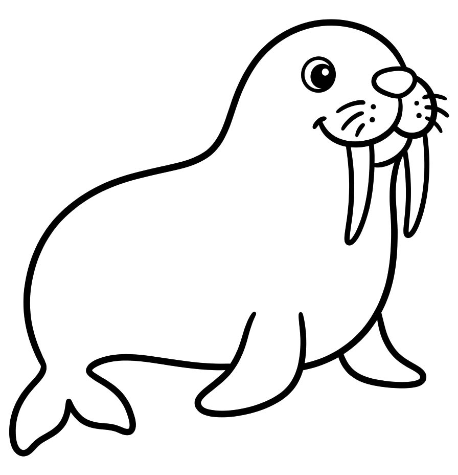 무료로 바다코끼리