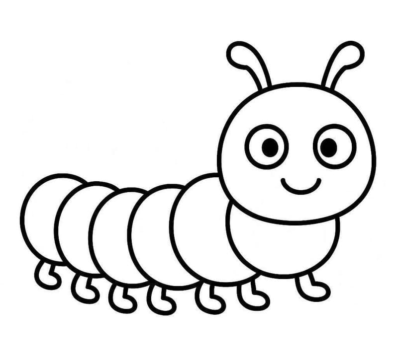 애벌레 이미지 인쇄 가능